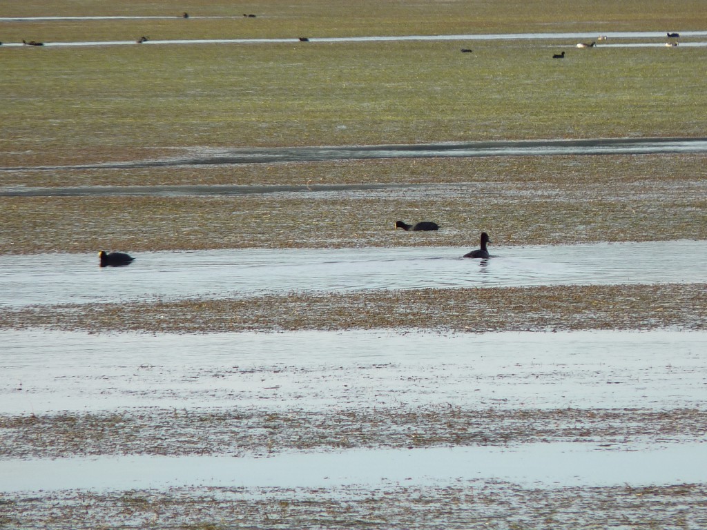 Foto de Laguna de los Padres (Buenos Aires), Argentina