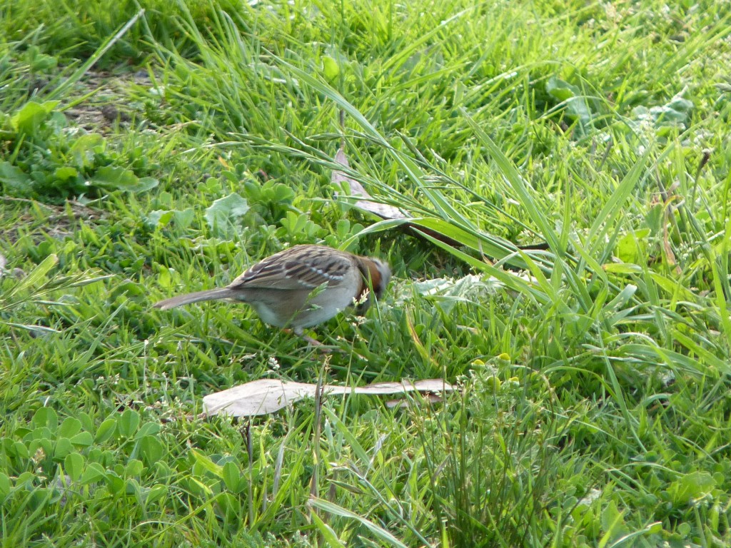 Foto de Laguna de los Padres (Buenos Aires), Argentina