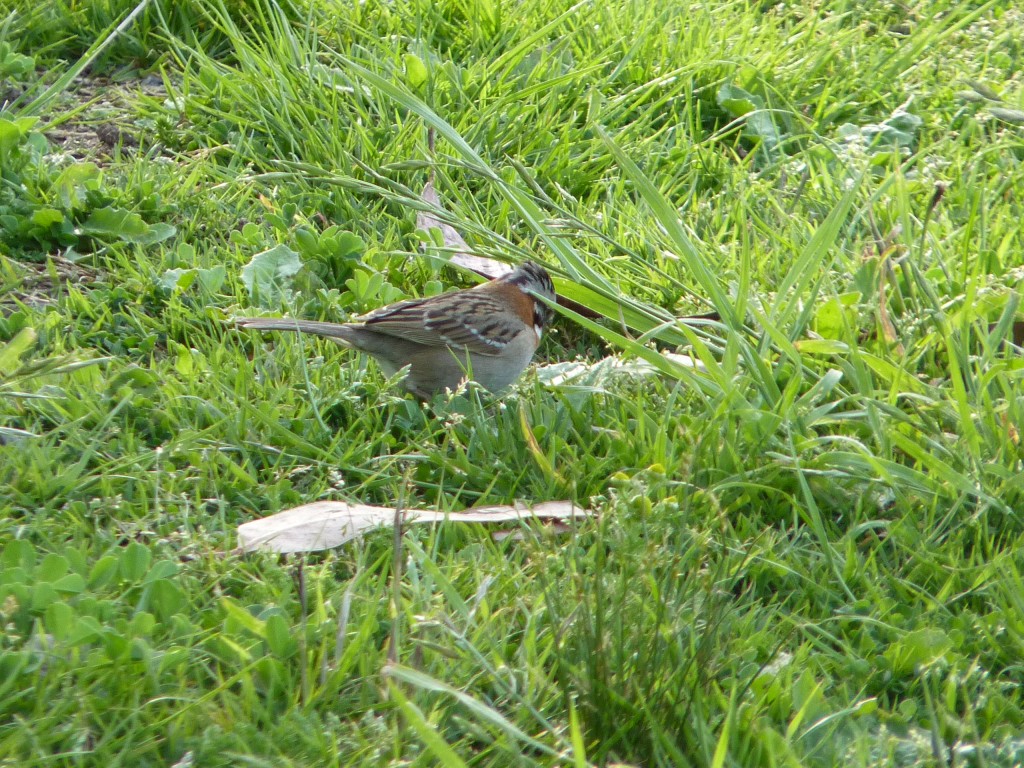 Foto de Laguna de los Padres (Buenos Aires), Argentina