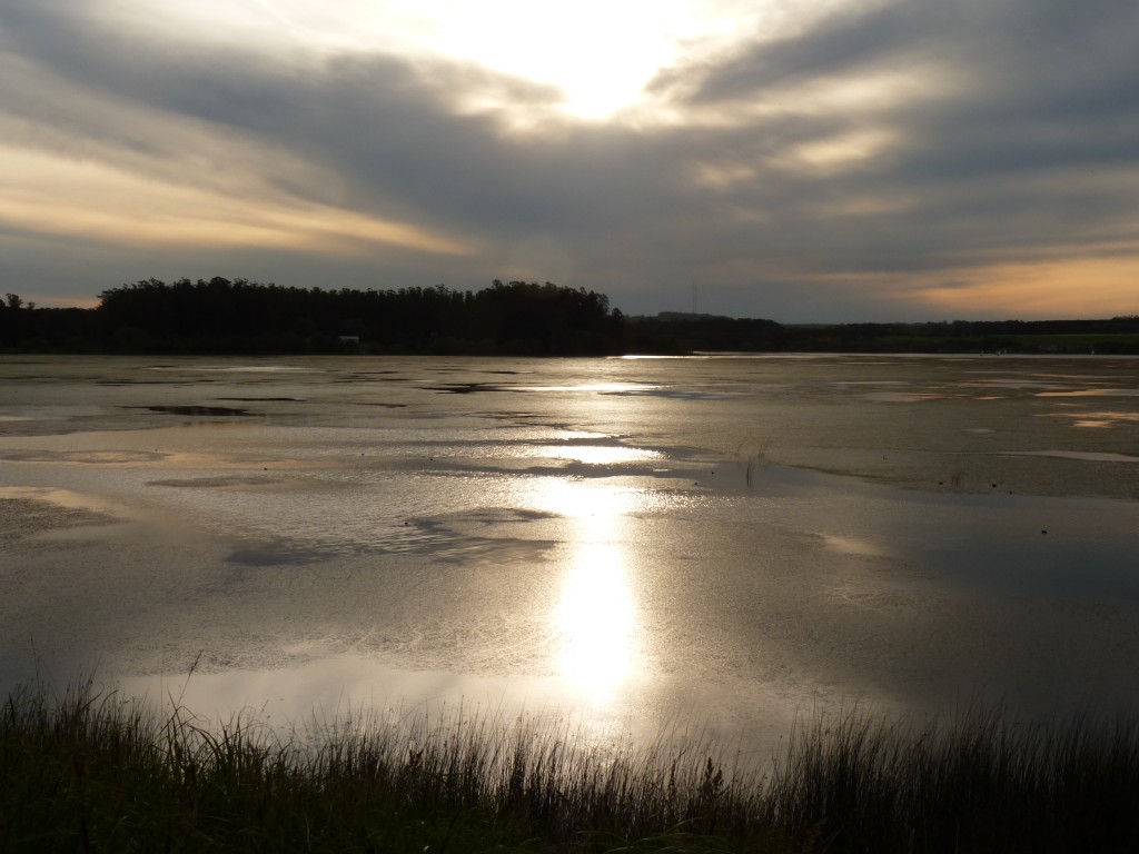Foto de Laguna de los Padres (Buenos Aires), Argentina