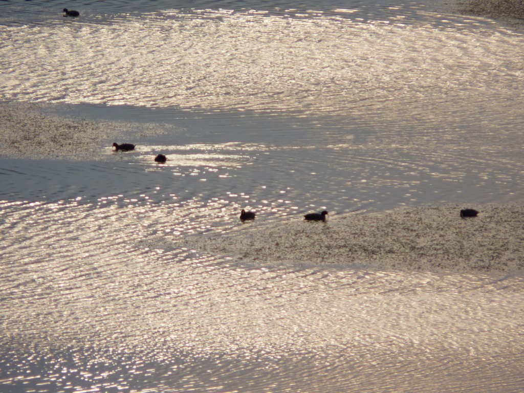 Foto de Laguna de los Padres (Buenos Aires), Argentina