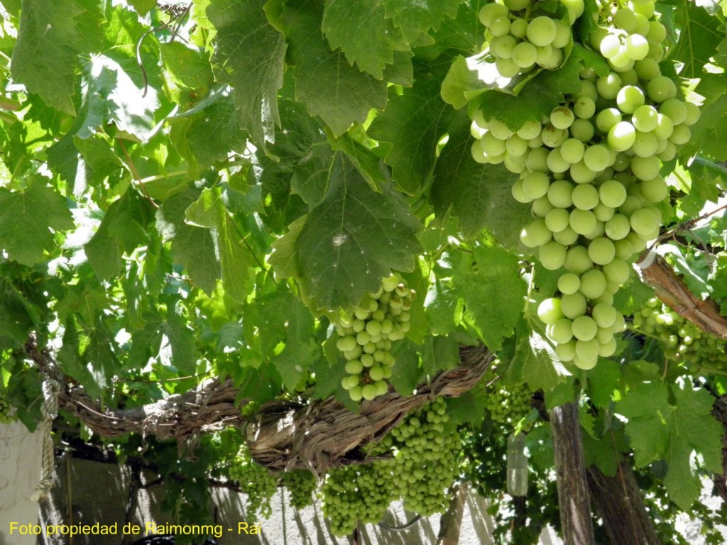 Foto: Huécija - Huécija (Almería), España