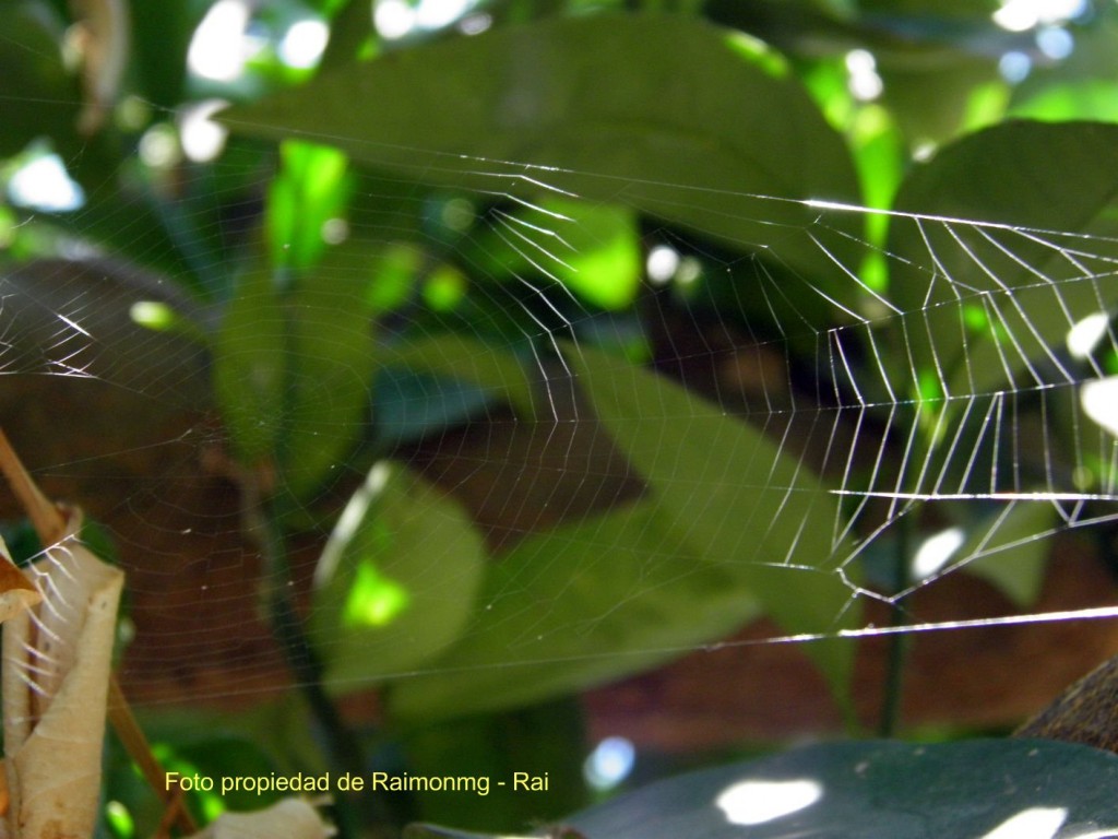 Foto: Huécija - Huécija (Almería), España