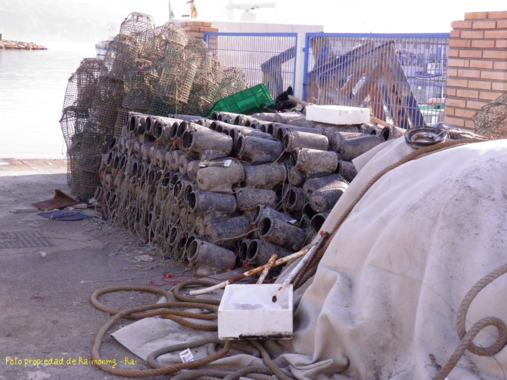 Foto: El Puerto de Roquetas de Mar. - Roquetas de Mar (Almería), España