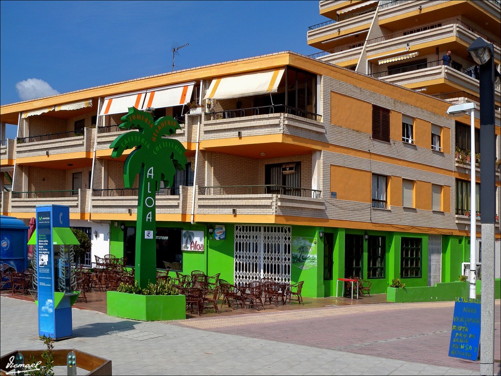 Foto: 110618-03 OROPESA. ALOA - Oropesa Del Mar (Castelló), España