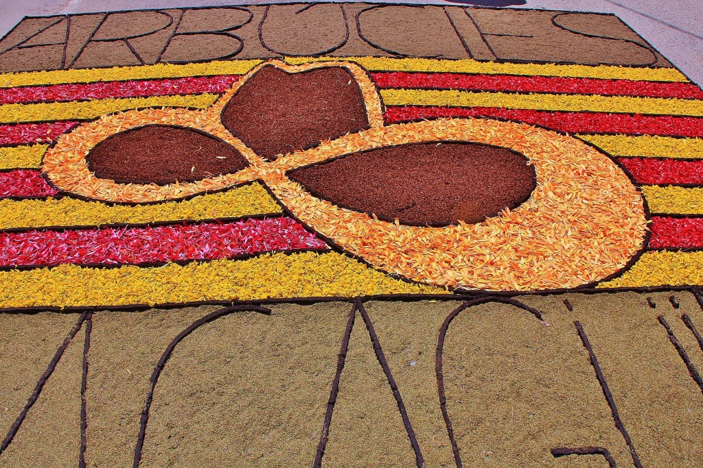 Foto: Alfombras de flores - Arbúcies (Girona), España