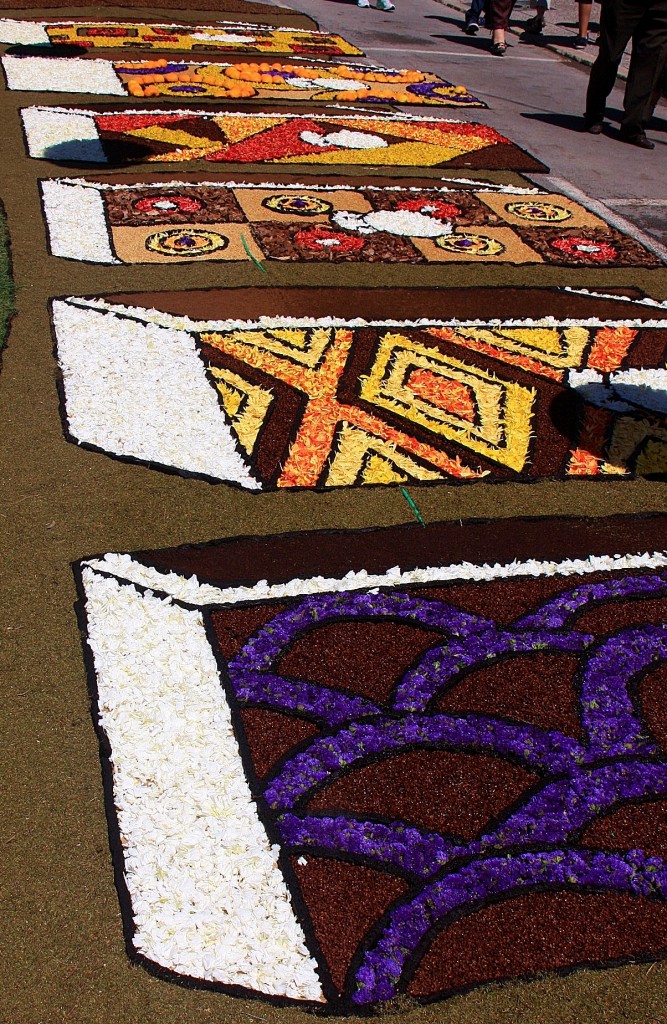 Foto: Alfombras de flores - Arbúcies (Girona), España