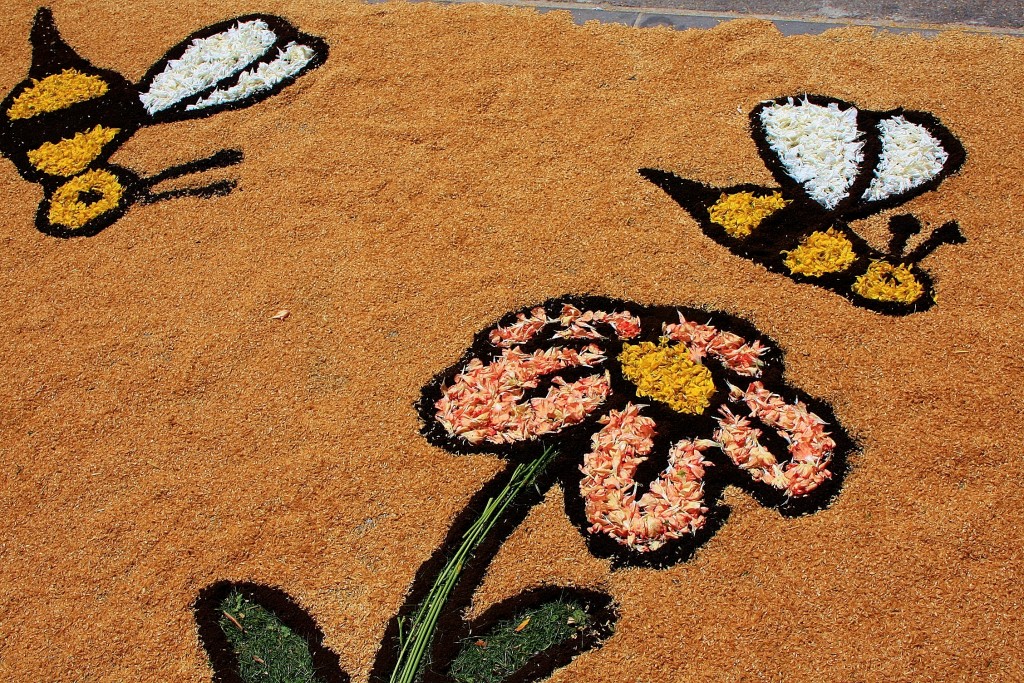 Foto: Alfombras de flores - Arbúcies (Girona), España