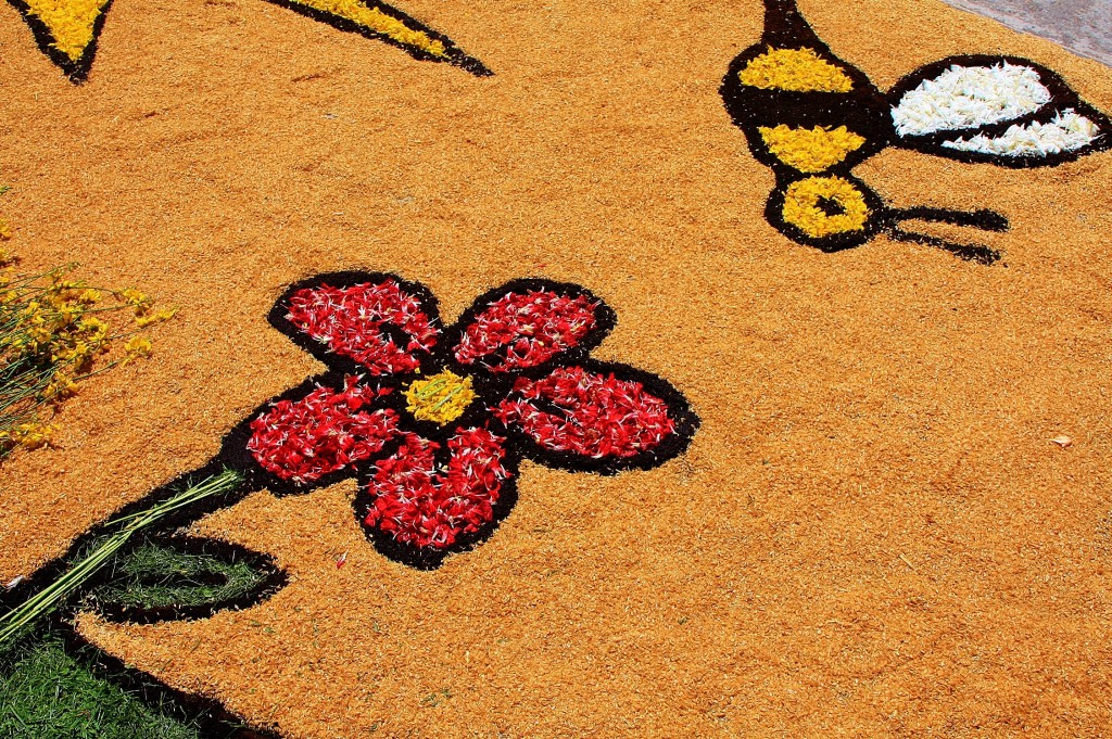 Foto: Alfombras de flores - Arbúcies (Girona), España
