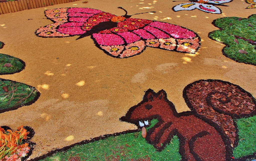 Foto: Alfombras de flores - Arbúcies (Girona), España