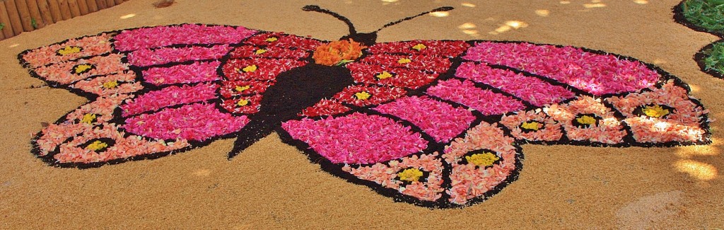 Foto: Alfombras de flores - Arbúcies (Girona), España