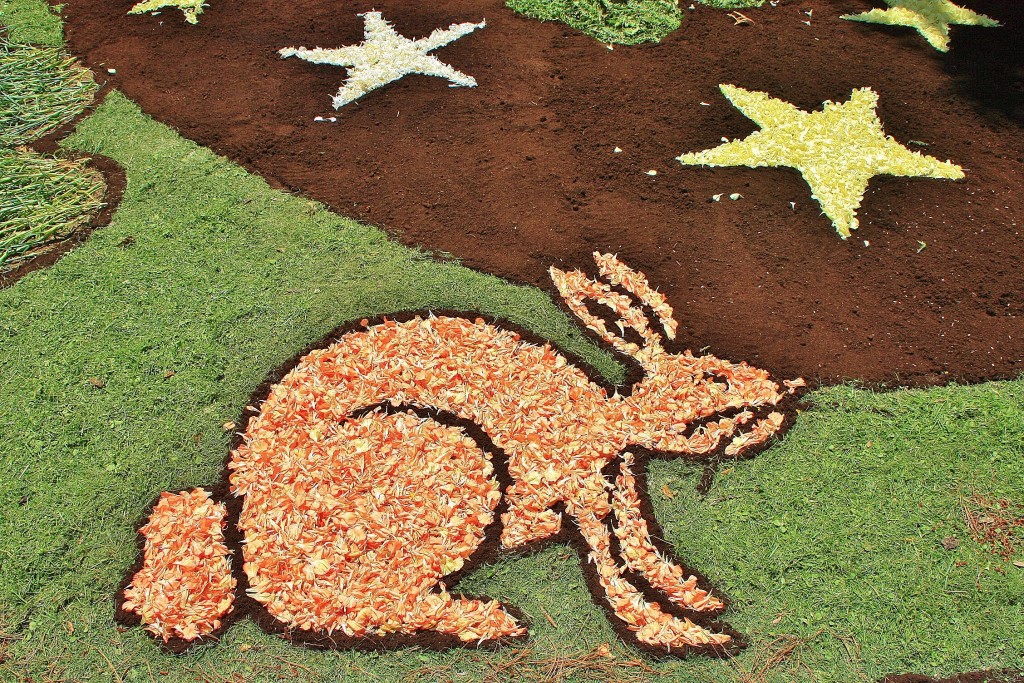 Foto: Alfombras de flores - Arbúcies (Girona), España