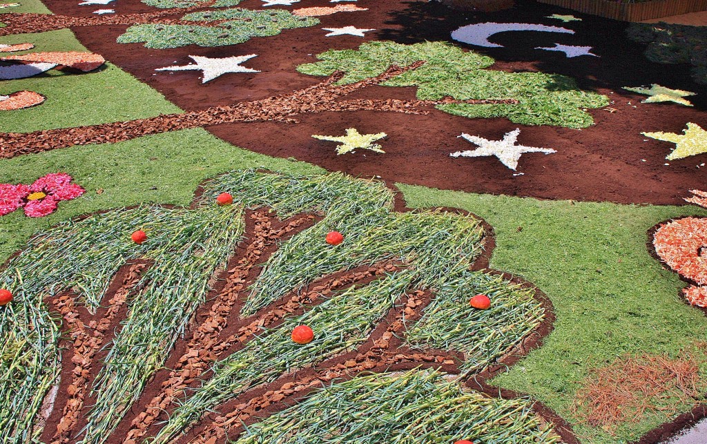 Foto: Alfombras de flores - Arbúcies (Girona), España