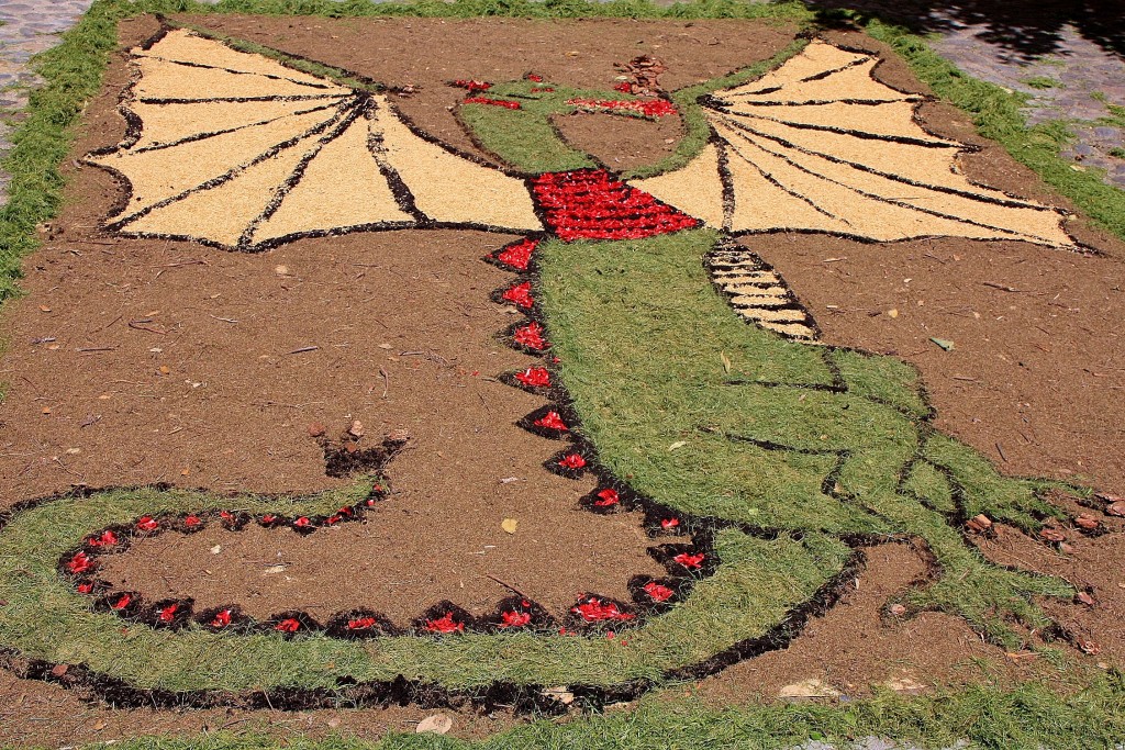 Foto: Alfombras de flores - Arbúcies (Girona), España