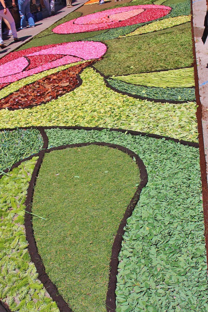 Foto: Alfombras de flores - Arbúcies (Girona), España