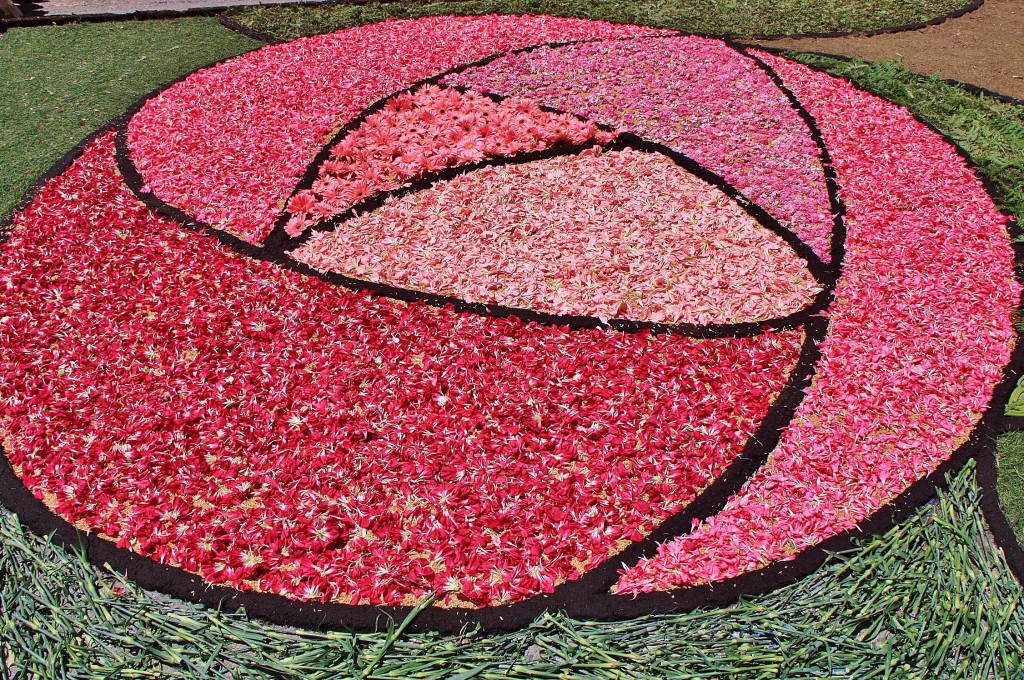 Foto: Alfombras de flores - Arbúcies (Girona), España