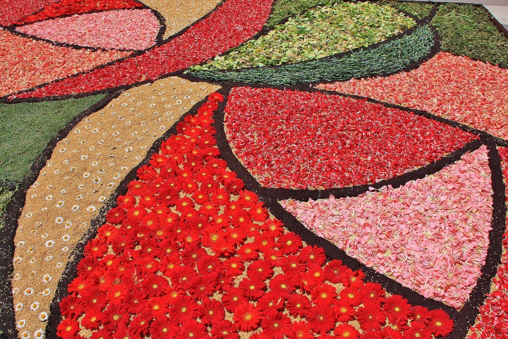 Foto: Alfombras de flores - Arbúcies (Girona), España