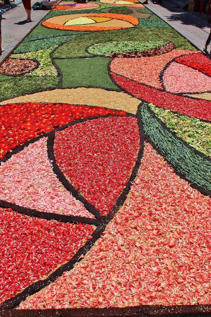 Foto: Alfombras de flores - Arbúcies (Girona), España