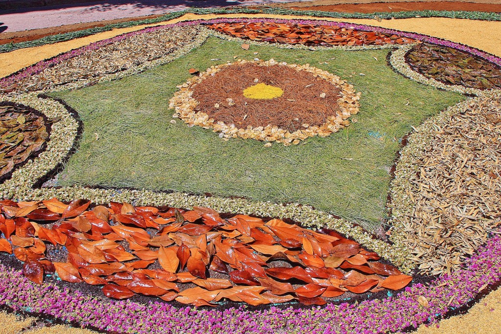 Foto: Alfombras de flores - Arbúcies (Girona), España