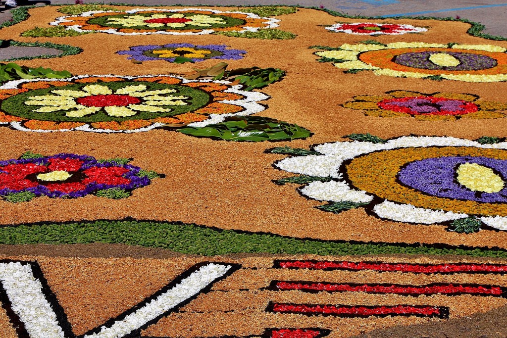 Foto: Alfombras de flores - Arbúcies (Girona), España