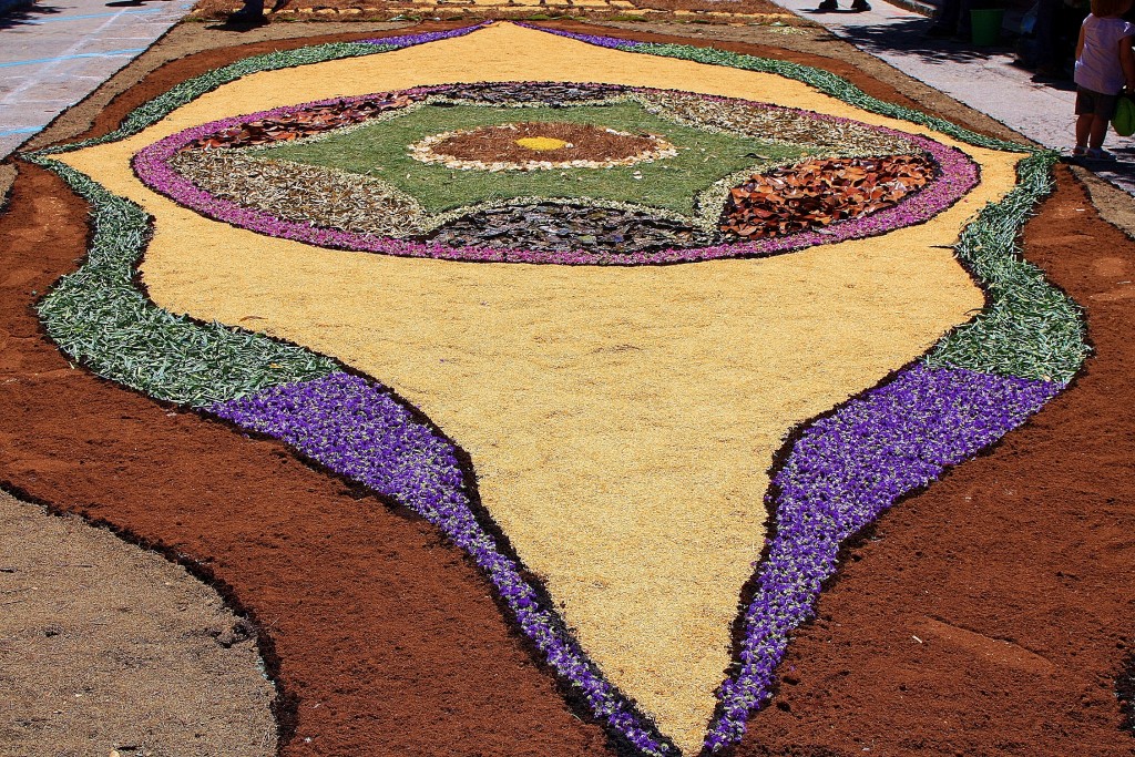 Foto: Alfombras de flores - Arbúcies (Girona), España