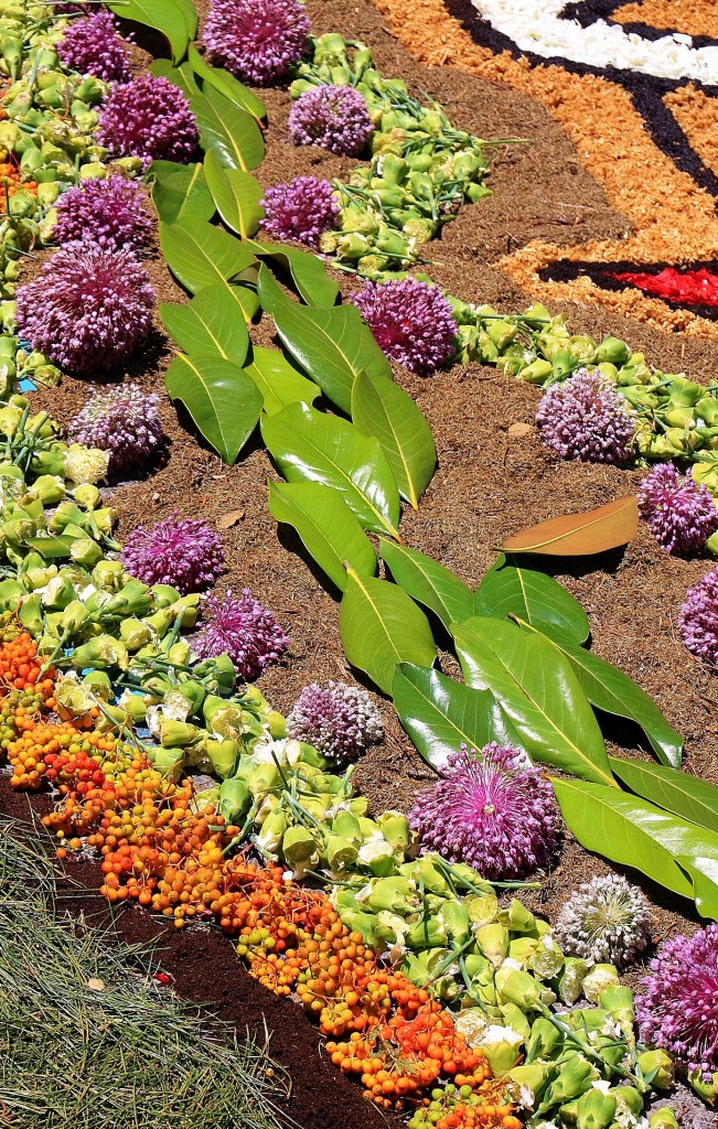Foto: Alfombras de flores - Arbúcies (Girona), España