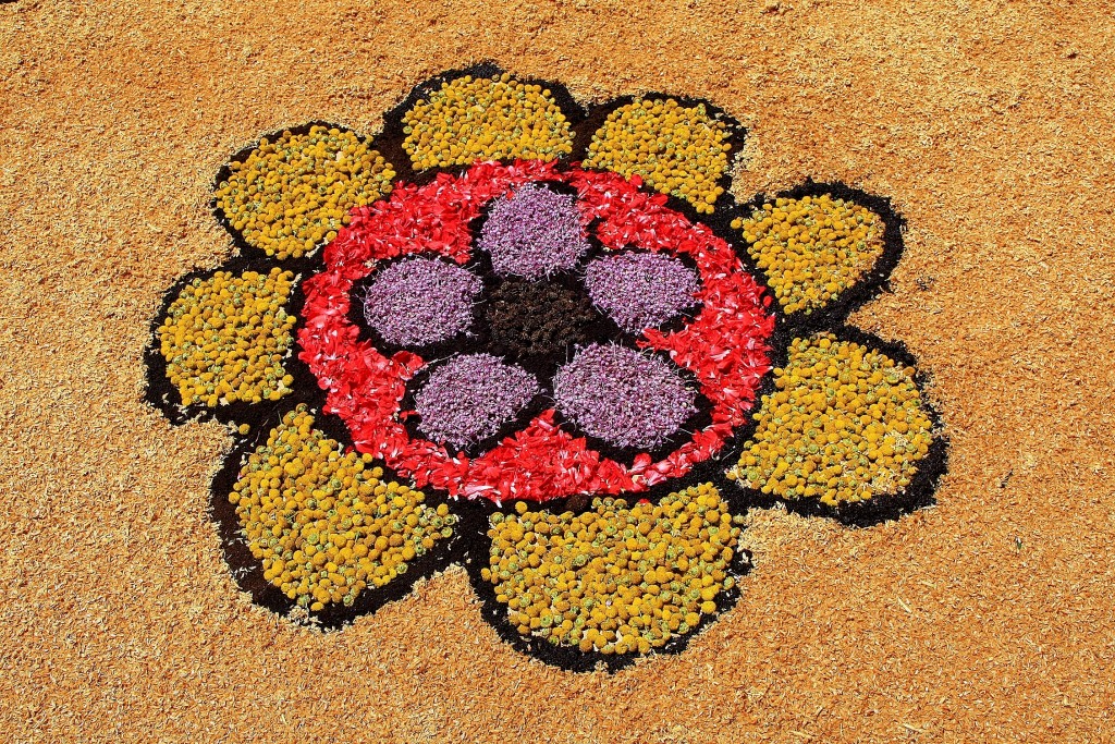 Foto: Alfombras de flores - Arbúcies (Girona), España