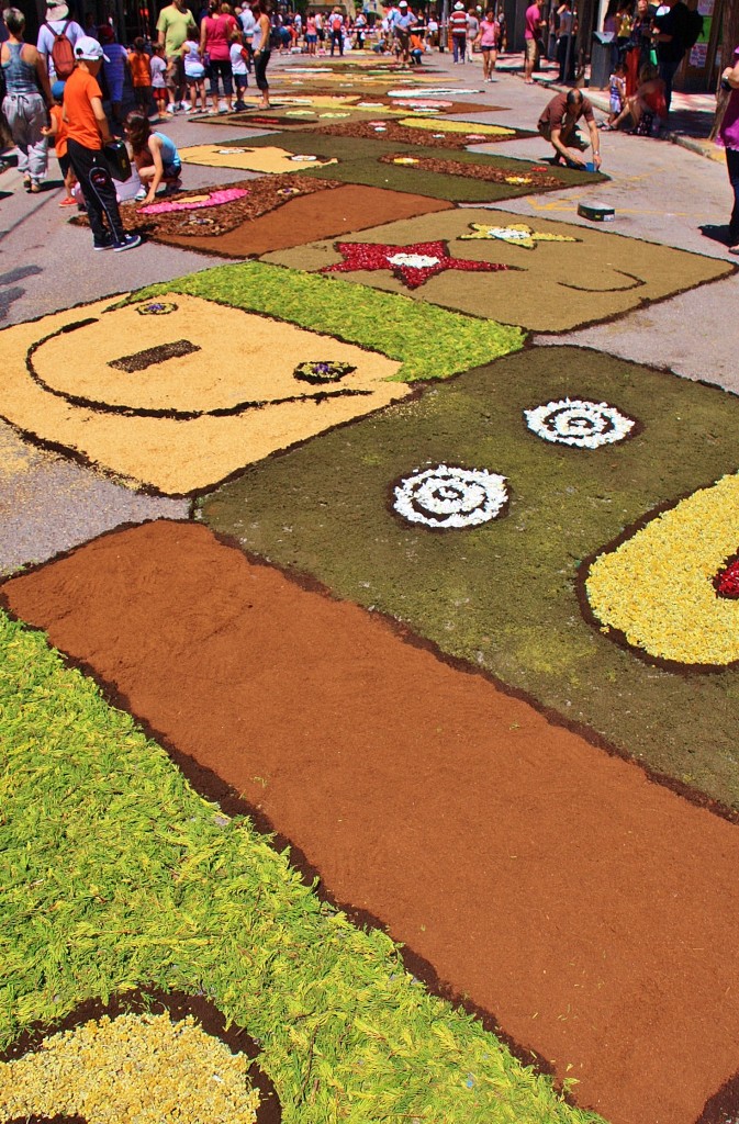 Foto: Alfombras de flores - Arbúcies (Girona), España