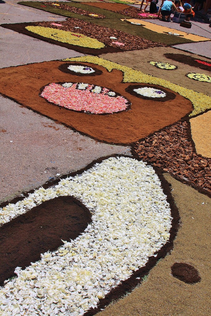 Foto: Alfombras de flores - Arbúcies (Girona), España