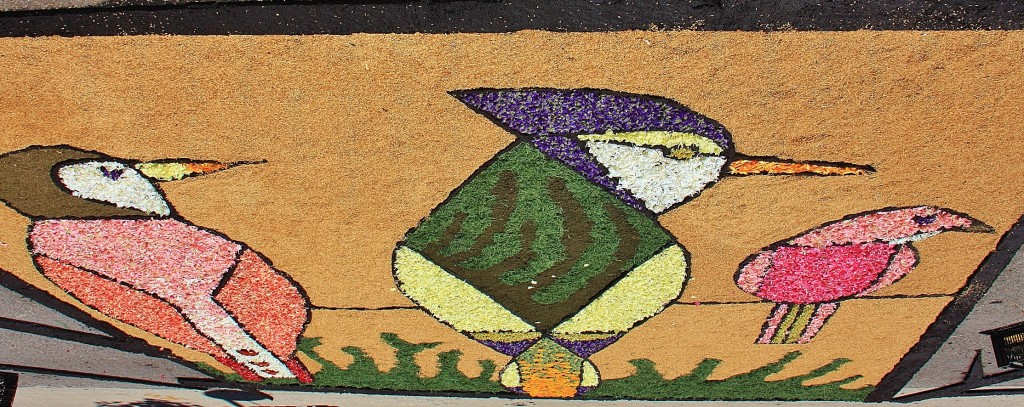 Foto: Alfombras de flores - Arbúcies (Girona), España