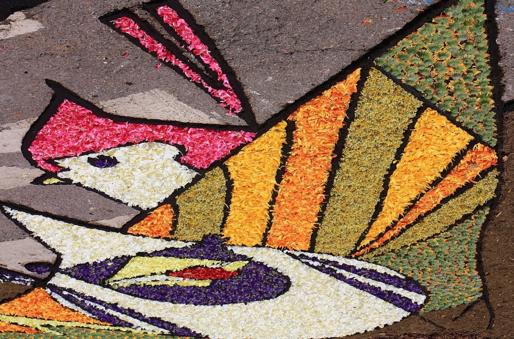 Foto: Alfombras de flores - Arbúcies (Girona), España