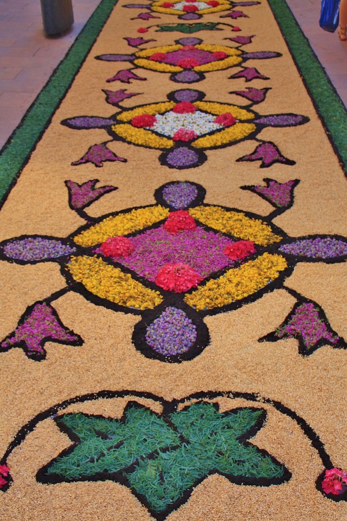 Foto: Alfombras de flores - Arbúcies (Girona), España