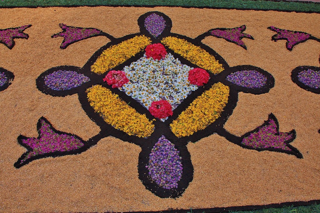 Foto: Alfombras de flores - Arbúcies (Girona), España
