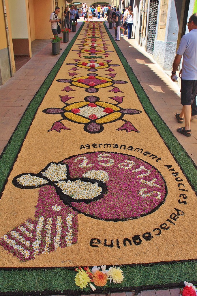 Foto: Alfombras de flores - Arbúcies (Girona), España