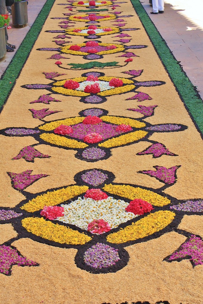 Foto: Alfombras de flores - Arbúcies (Girona), España