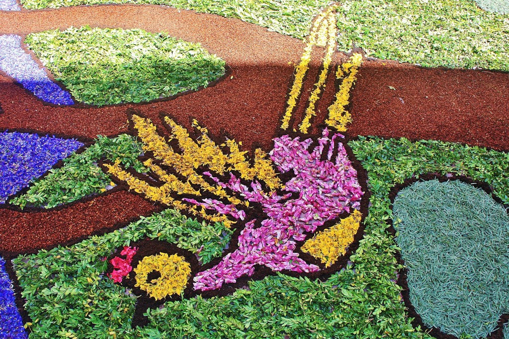 Foto: Alfombras de flores - Arbúcies (Girona), España