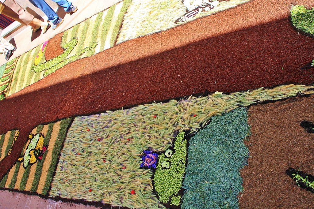 Foto: Alfombras de flores - Arbúcies (Girona), España