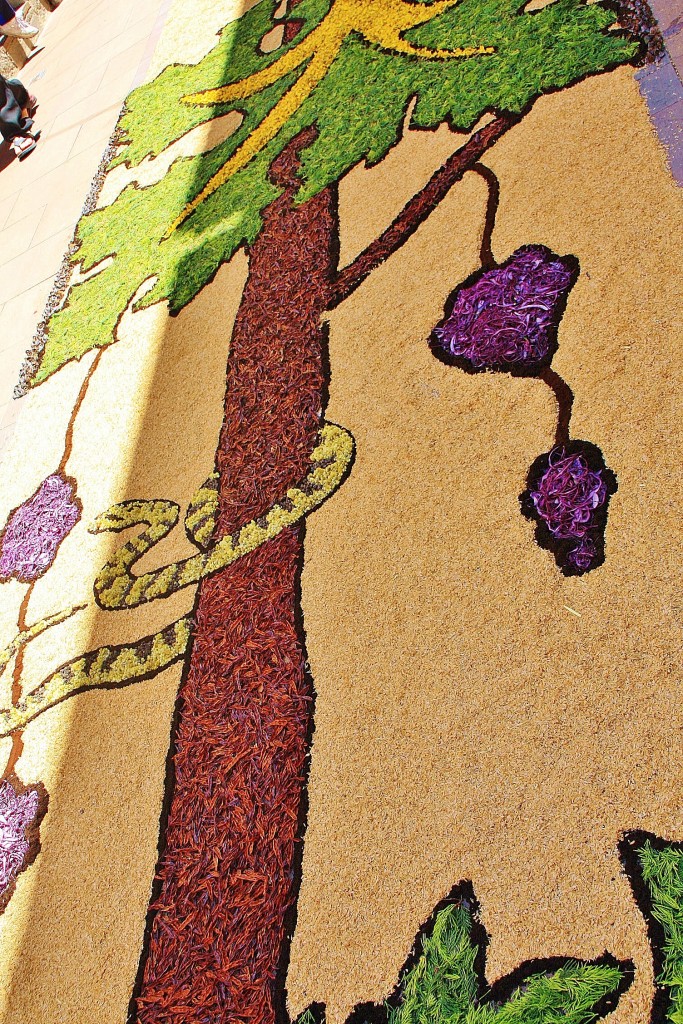 Foto: Alfombras de flores - Arbúcies (Girona), España