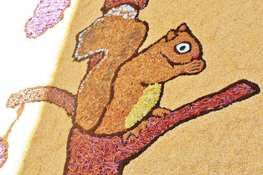 Foto: Alfombras de flores - Arbúcies (Girona), España