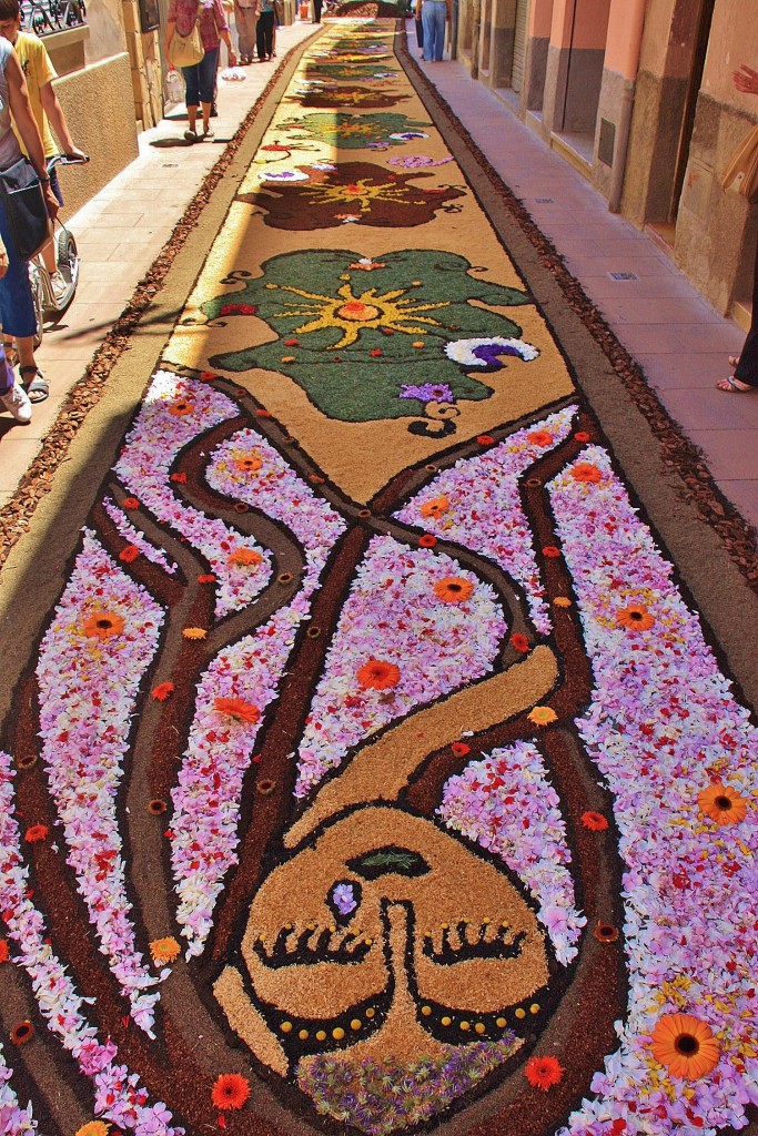 Foto: Alfombras de flores - Arbúcies (Girona), España