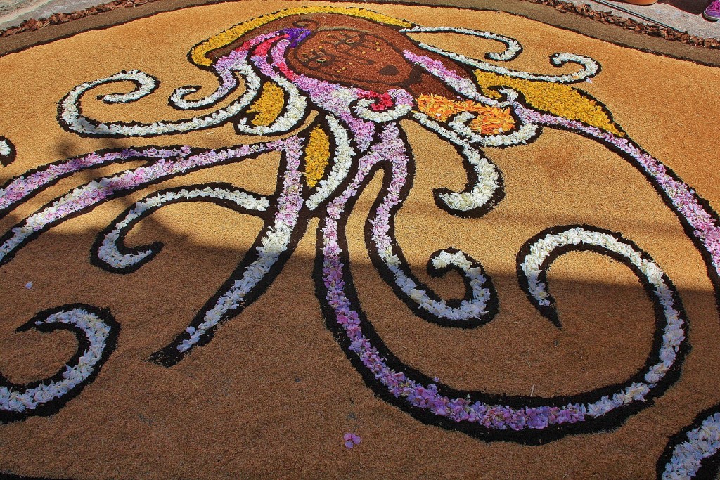 Foto: Alfombras de flores - Arbúcies (Girona), España