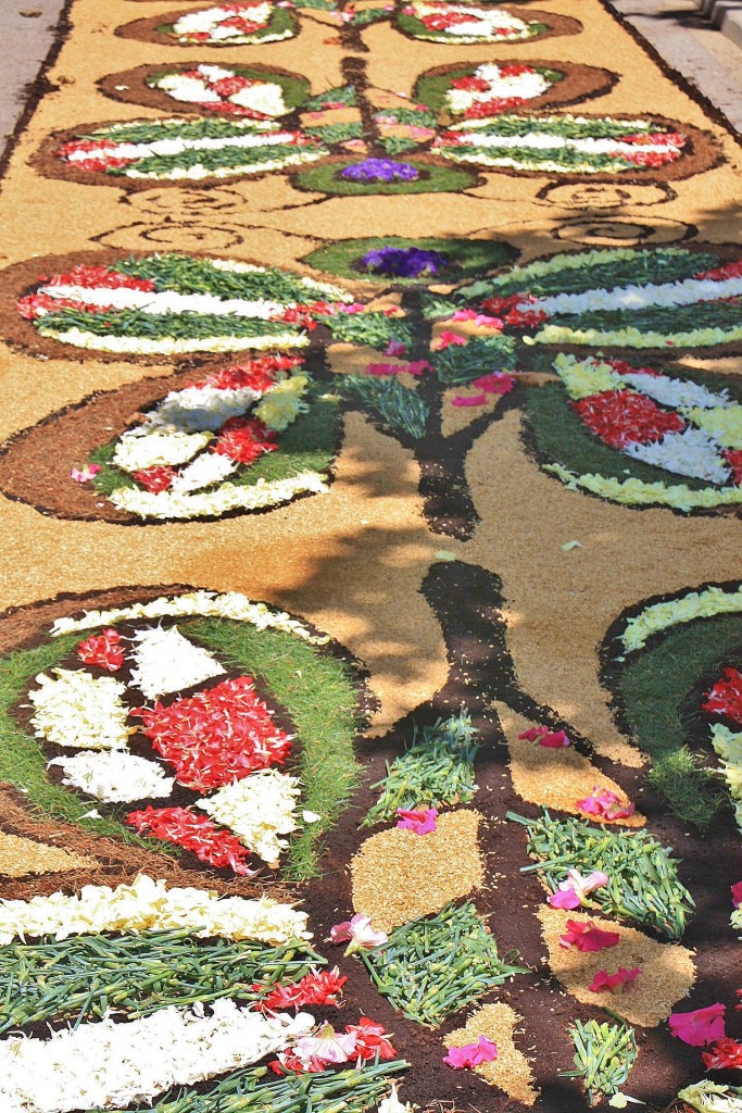 Foto: Alfombras de flores - Arbúcies (Girona), España