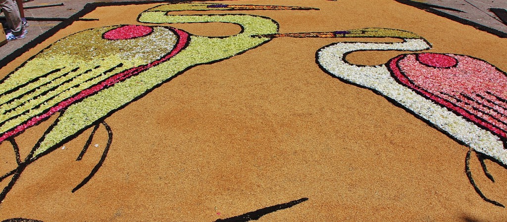 Foto: Alfombras de flores - Arbúcies (Girona), España