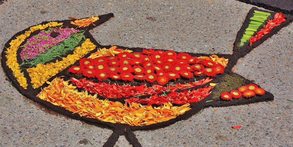 Foto: Alfombras de flores - Arbúcies (Girona), España