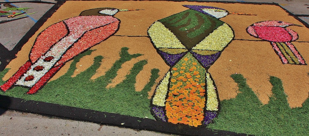 Foto: Alfombras de flores - Arbúcies (Girona), España