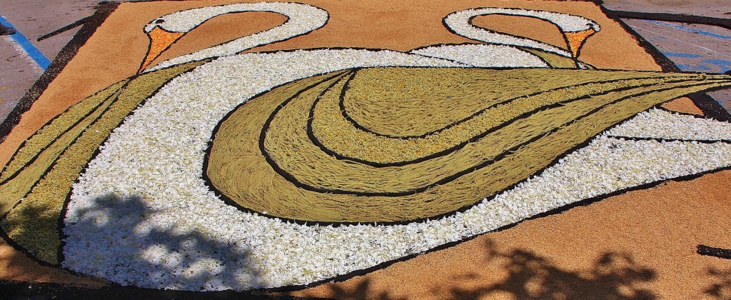 Foto: Alfombras de flores - Arbúcies (Girona), España