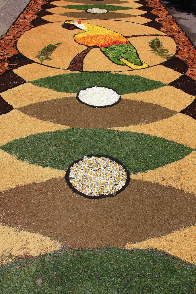 Foto: Alfombras de flores - Arbúcies (Girona), España