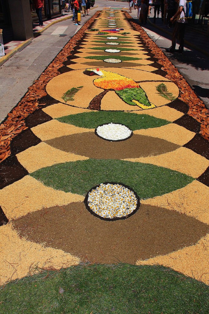 Foto: Alfombras de flores - Arbúcies (Girona), España