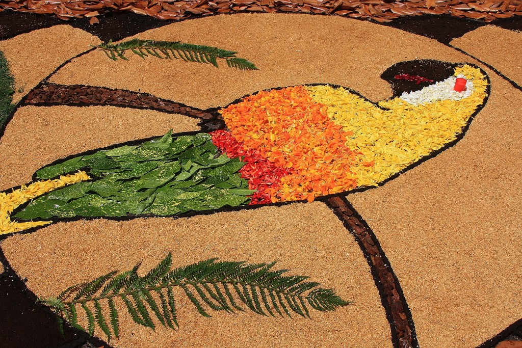 Foto: Alfombras de flores - Arbúcies (Girona), España