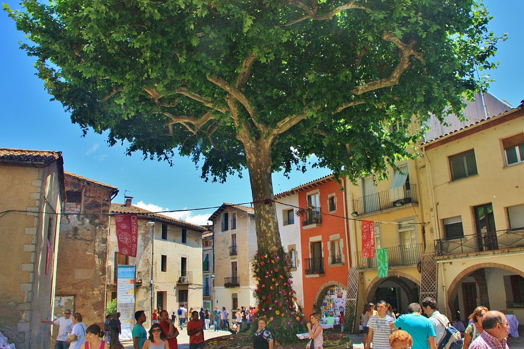 Foto: Centro histórico - Arbúcies (Girona), España